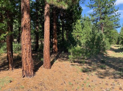 678 Blacktail Ridge, Portola, CA 96122 Photo