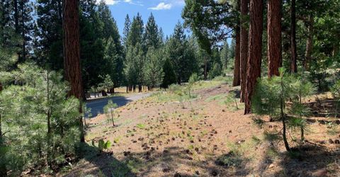 678 Blacktail Ridge, Portola, CA 96122 Photo