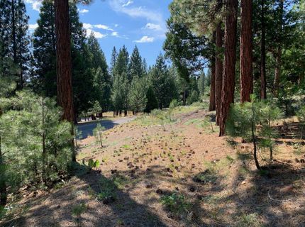 678 Blacktail Ridge, Portola, CA 96122 Photo