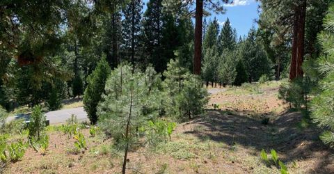 678 Blacktail Ridge, Portola, CA 96122 Photo