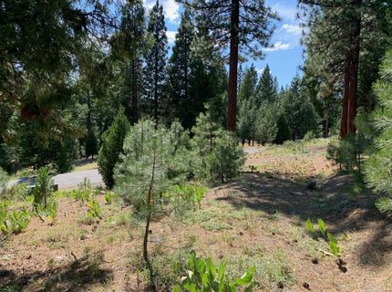 678 Blacktail Ridge, Portola, CA 96122 Photo