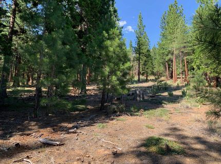 678 Blacktail Ridge, Portola, CA 96122 Photo