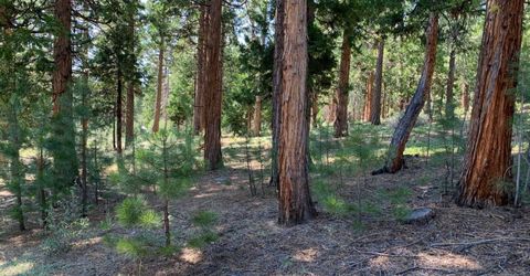 678 Blacktail Ridge, Portola, CA 96122 Photo
