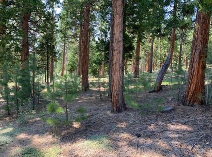 678 Blacktail Ridge, Portola, CA 96122 Photo