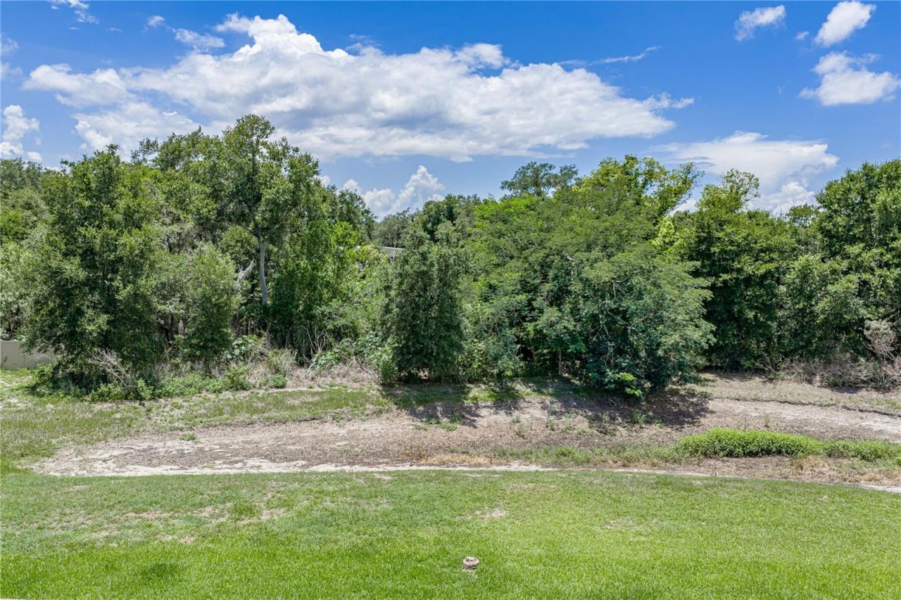 623 Straw Lake Drive, Brandon, FL 33510 Photo
