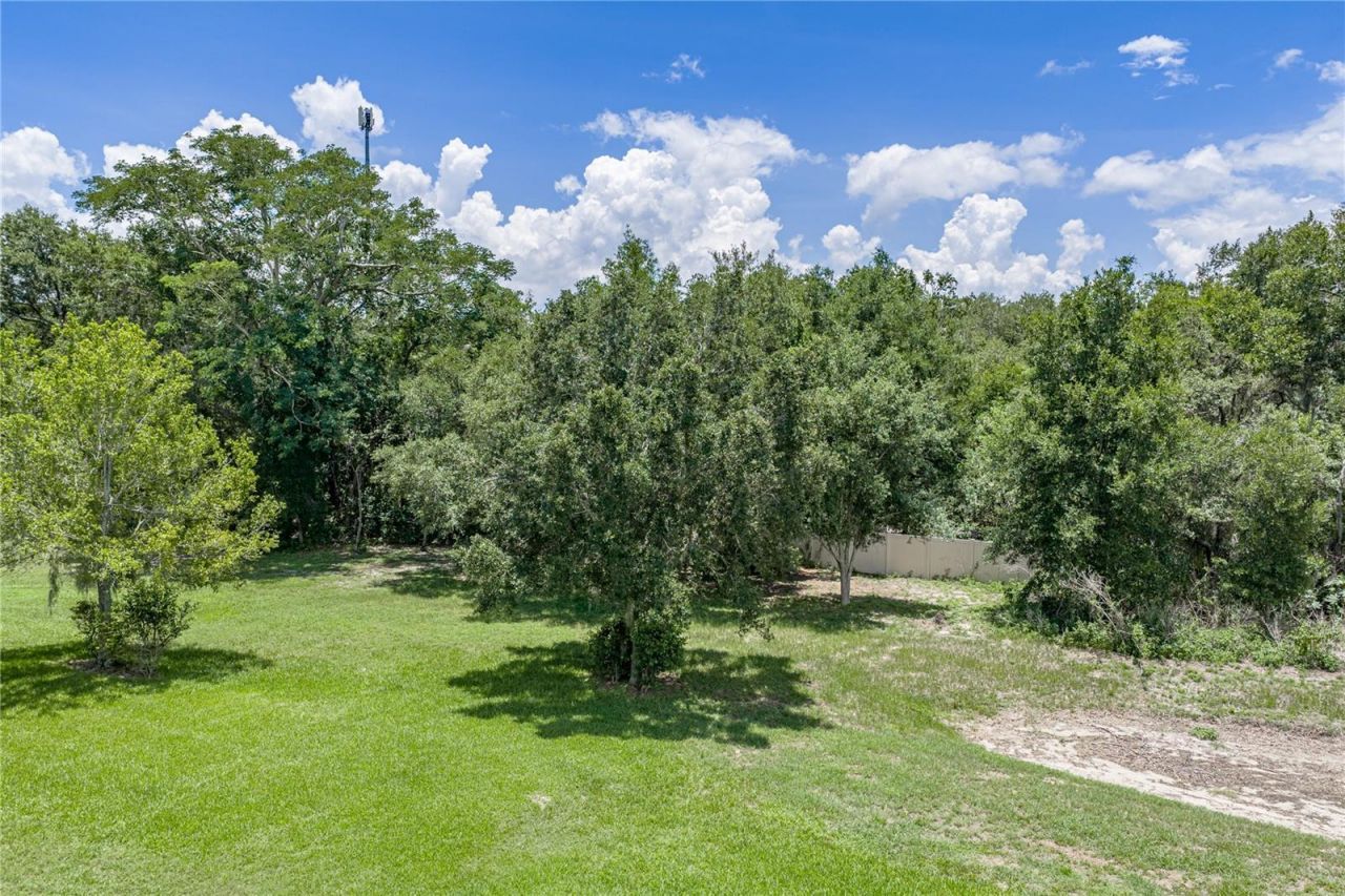 623 Straw Lake Drive, Brandon, FL 33510 Photo