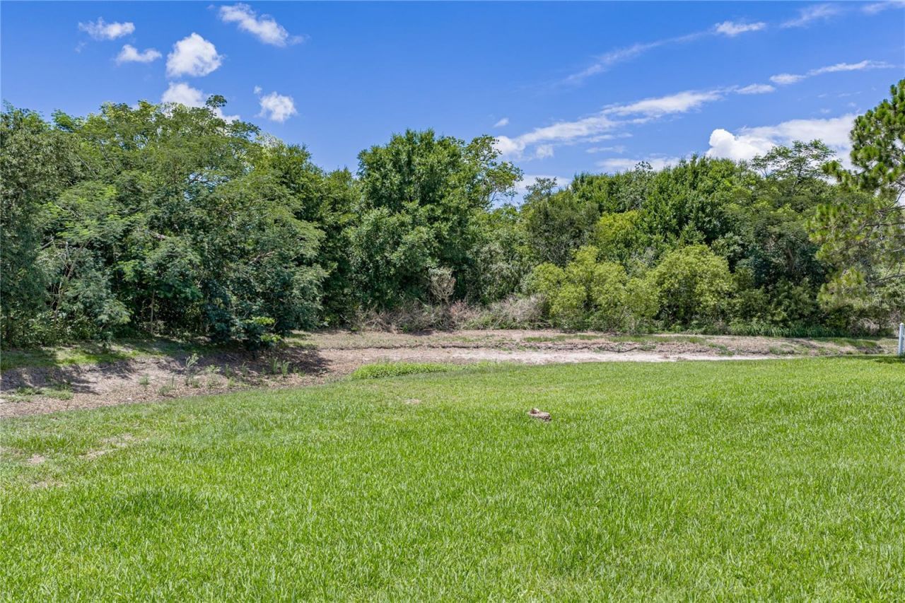 623 Straw Lake Drive, Brandon, FL 33510 Photo