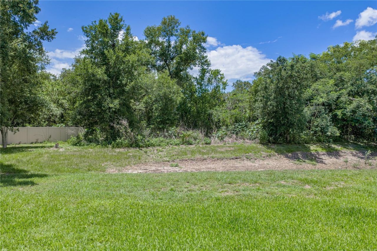623 Straw Lake Drive, Brandon, FL 33510 Photo
