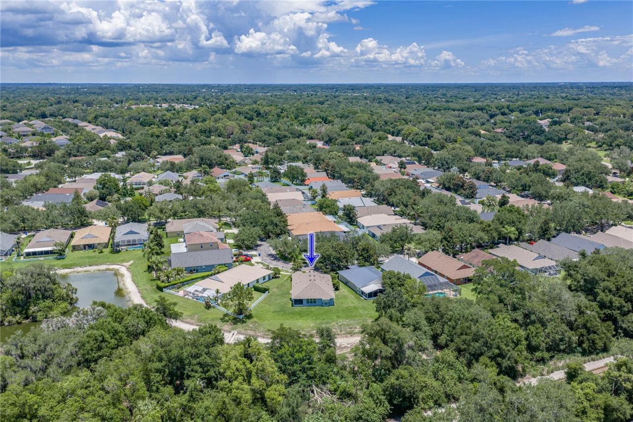 623 Straw Lake Drive, Brandon, FL 33510 Photo