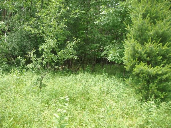 Lot 12 4th Addition, Margaret Lane, Park Falls, WI 54552