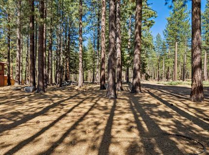 1834 Cold Creek Court, South Lake Tahoe, CA 96150 Photo