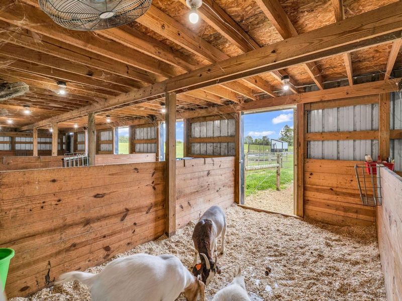 6445 Sycamore Road, Centerburg, OH 43011 Photo 73