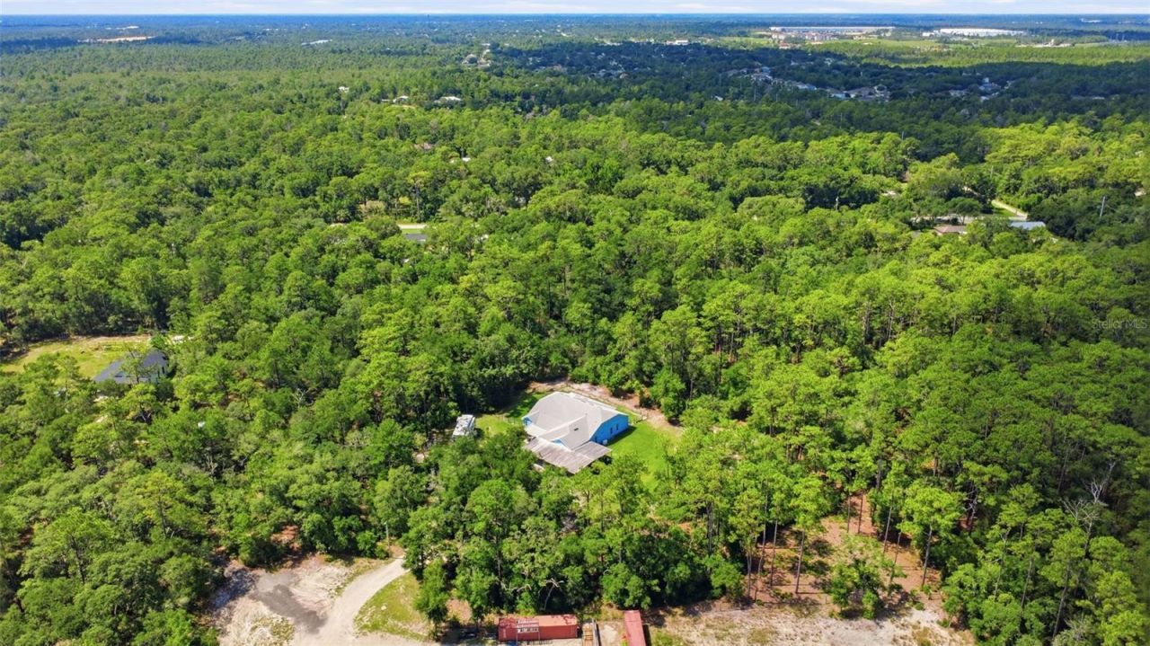 922 Volusia Timber Court, Lake Helen, FL 32744 Photo
