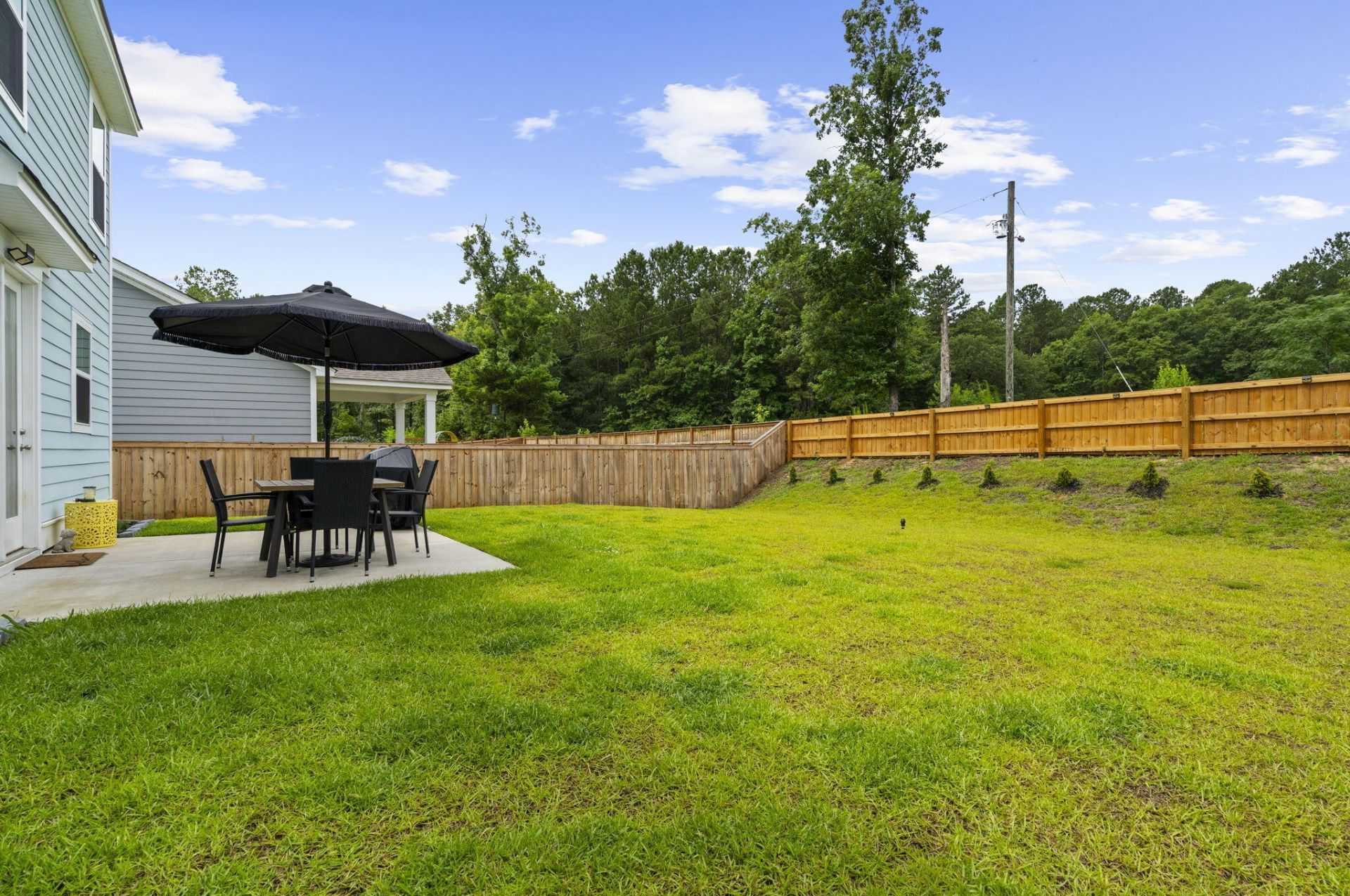 337 Hillman Trail Drive Photo 49