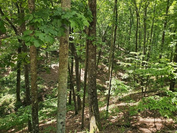 549 NE Myriad Way, Ranger, GA 30734