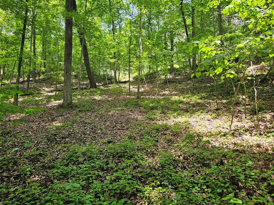 Property Image 18