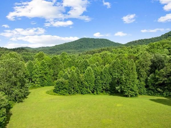 225 Cohutta Ranch Road, Blue Ridge, GA 30513