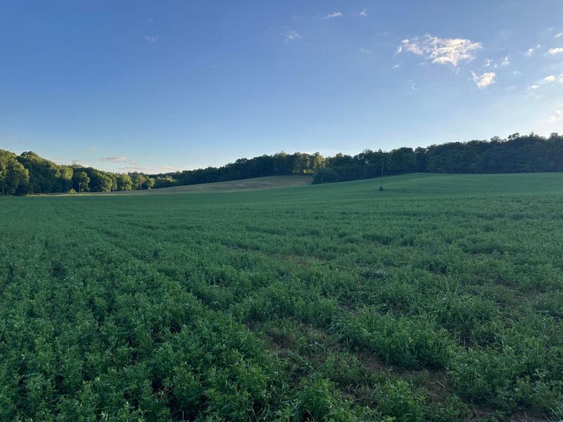 0 Township Rd 51 , Mount Perry, OH 43760 Photo 14