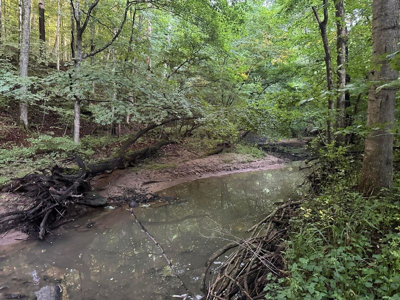 0 Township Rd 51 , Mount Perry, OH 43760 Photo 17