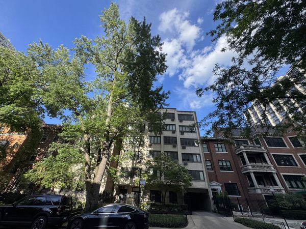 1419 N State Parkway , Unit 305, Chicago, IL 60610