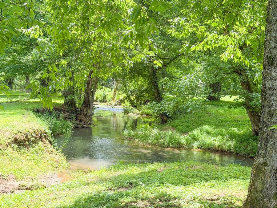 Property Image 54