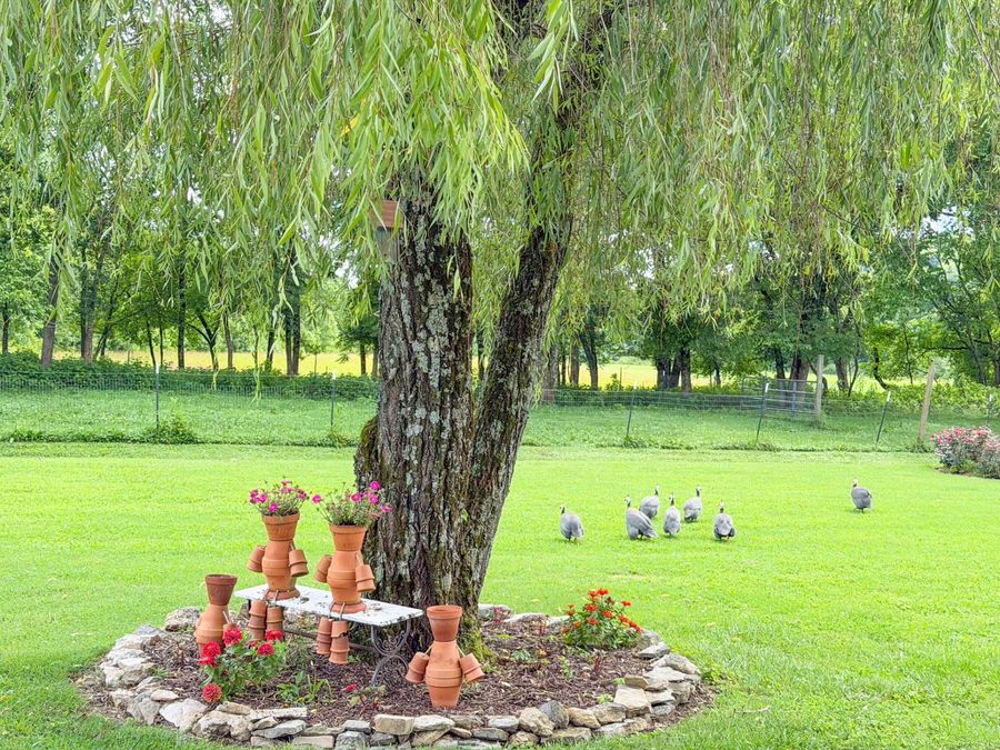 Property Image 56
