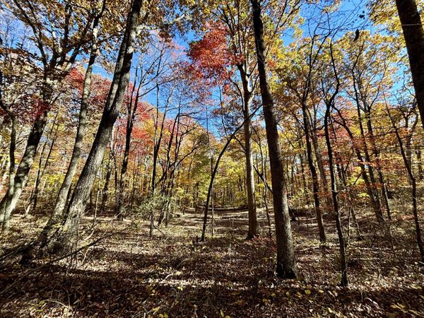 0 Harrison Ferry Rd , Mc Minnville, TN 37110