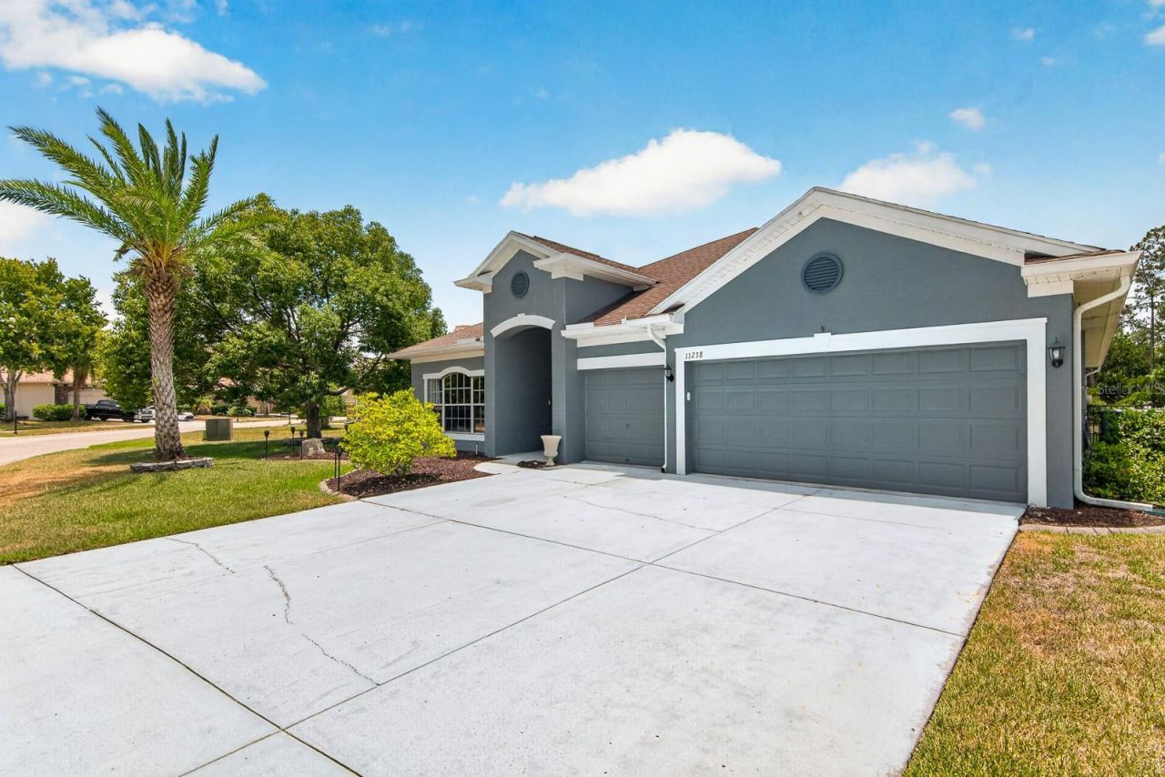 11238 Biddeford Place, New Port Richey, FL 34654 Photo