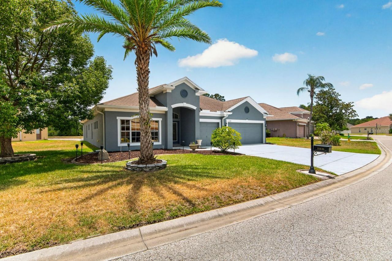 11238 Biddeford Place, New Port Richey, FL 34654 Photo