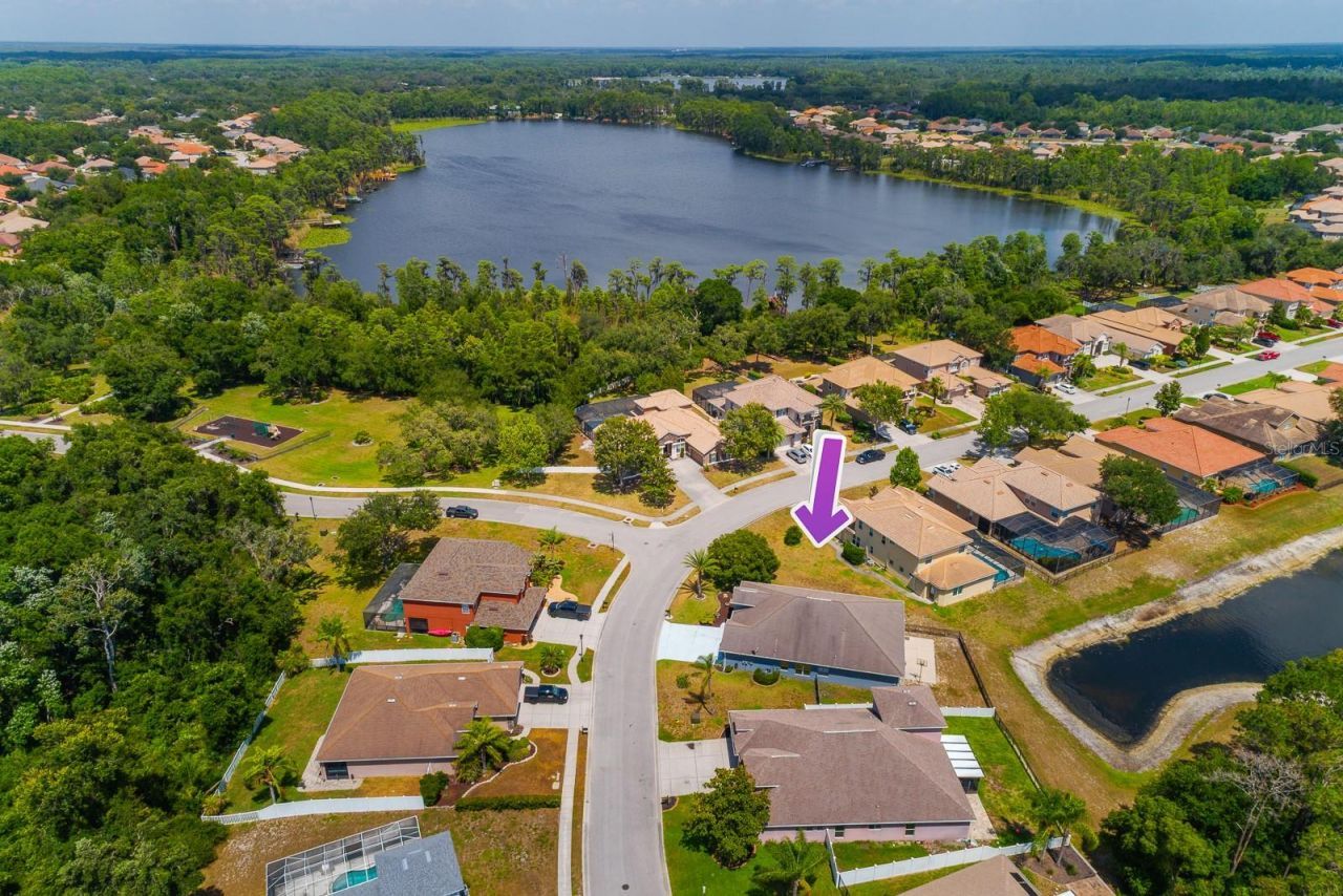 11238 Biddeford Place, New Port Richey, FL 34654 Photo