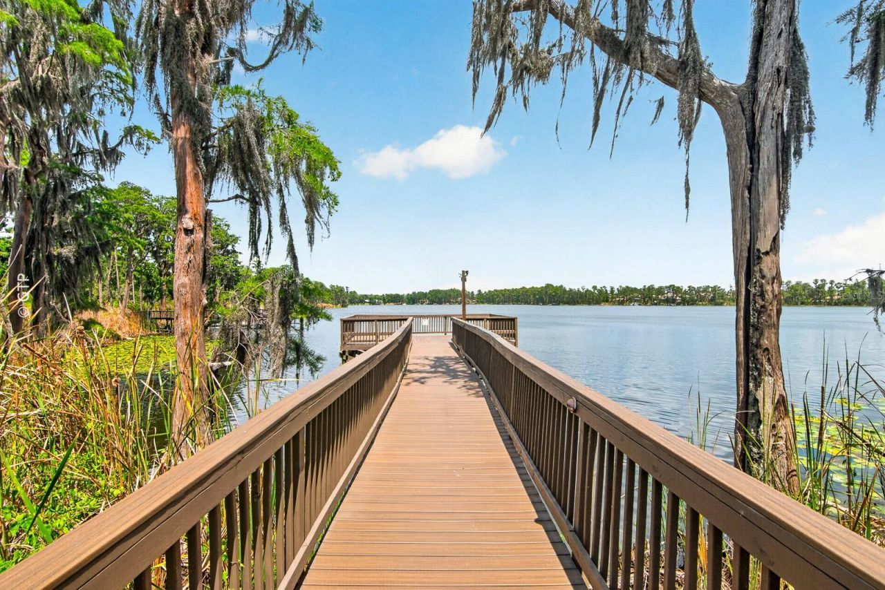 11238 Biddeford Place, New Port Richey, FL 34654 Photo