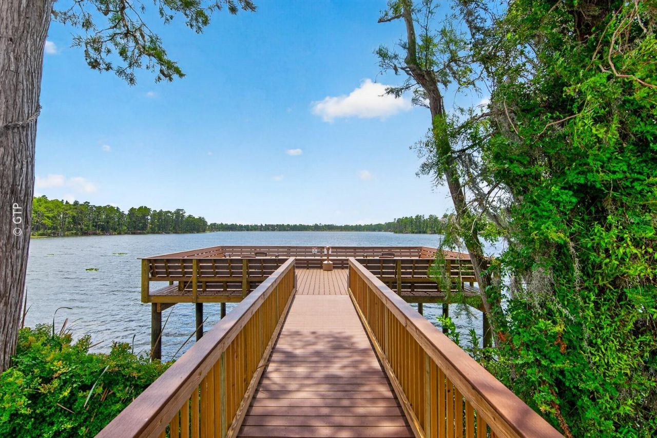 11238 Biddeford Place, New Port Richey, FL 34654 Photo