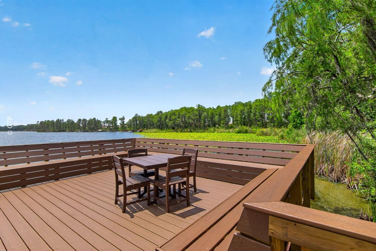 11238 Biddeford Place, New Port Richey, FL 34654 Photo