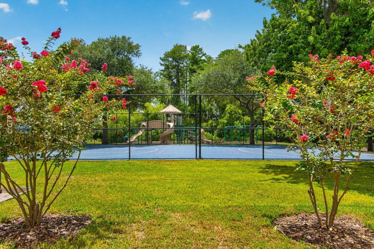 11238 Biddeford Place, New Port Richey, FL 34654 Photo