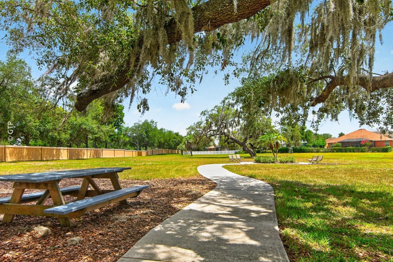 11238 Biddeford Place, New Port Richey, FL 34654 Photo