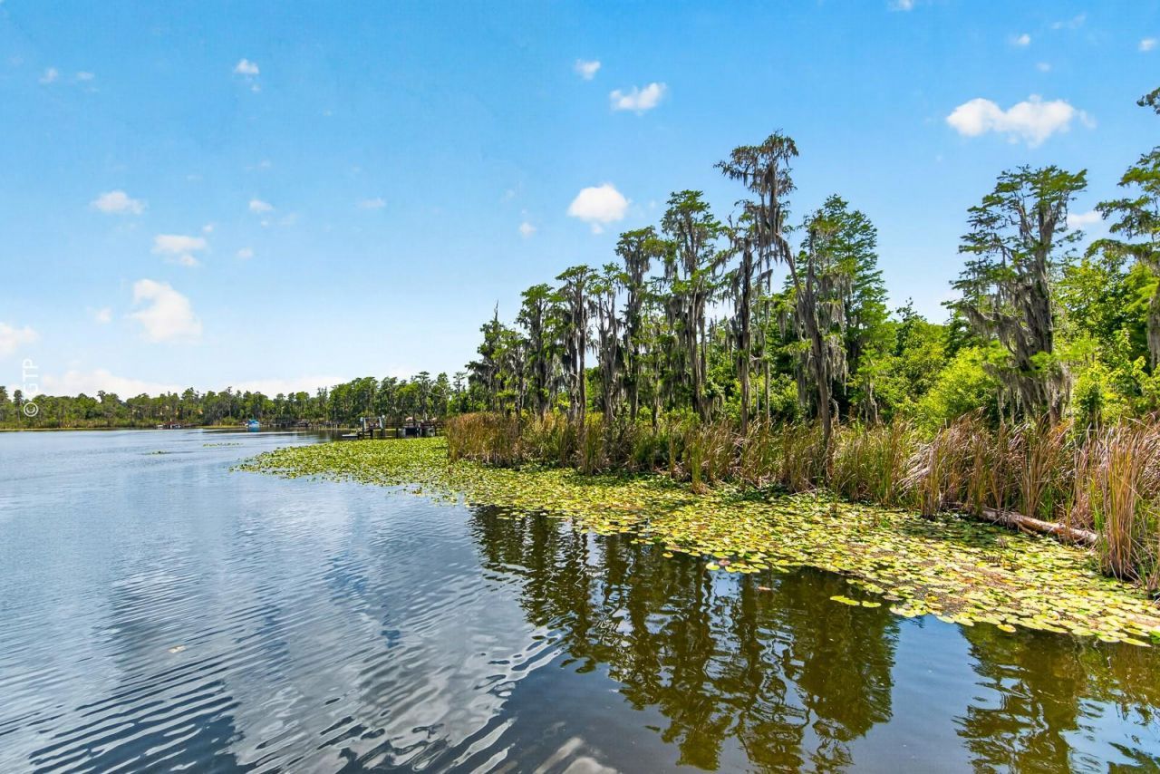 11238 Biddeford Place, New Port Richey, FL 34654 Photo