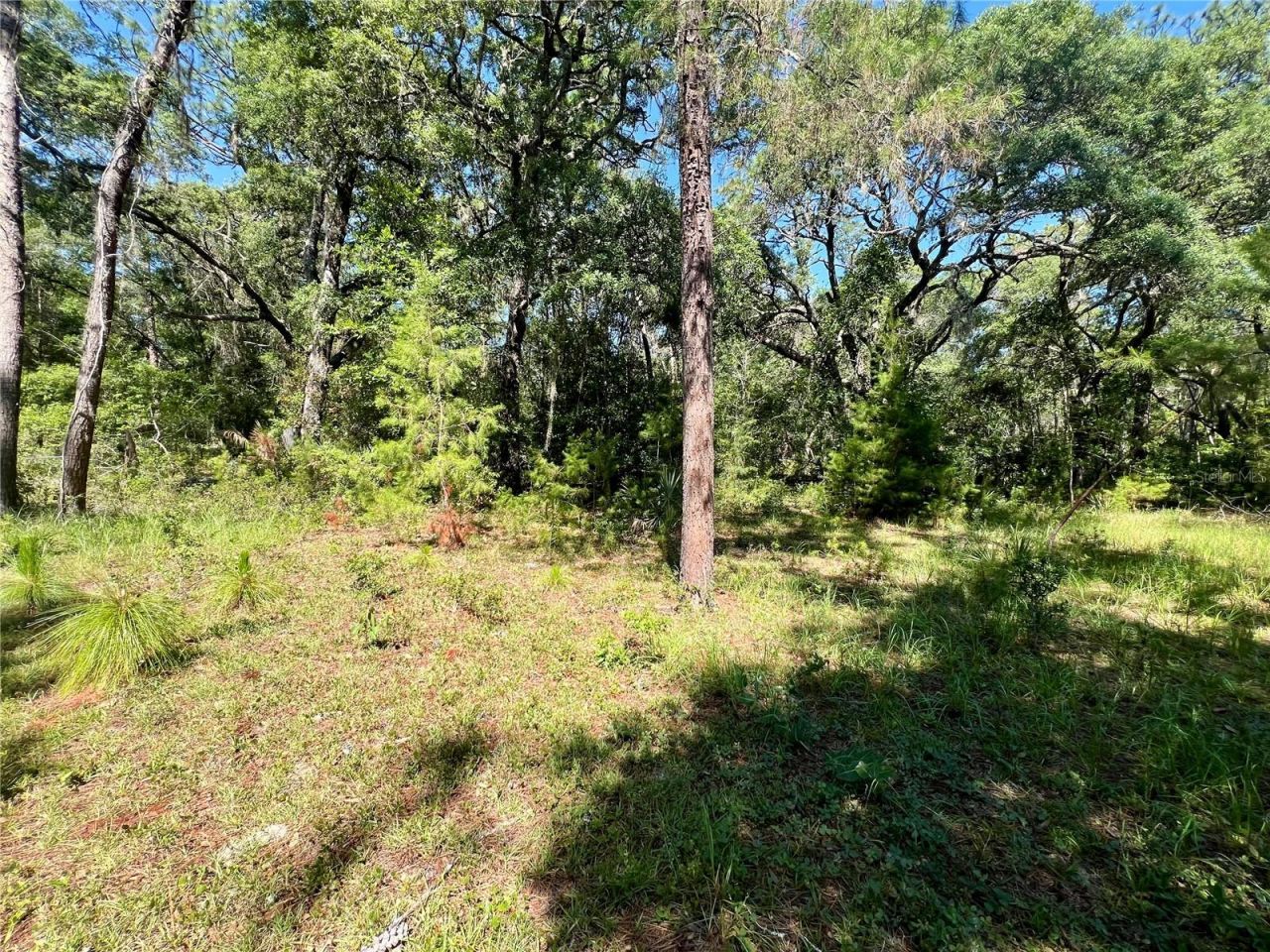 Se 152nd - (ravenswood Rd) Parcel B & C, Lots 16,, Altoona, FL 32702 Photo