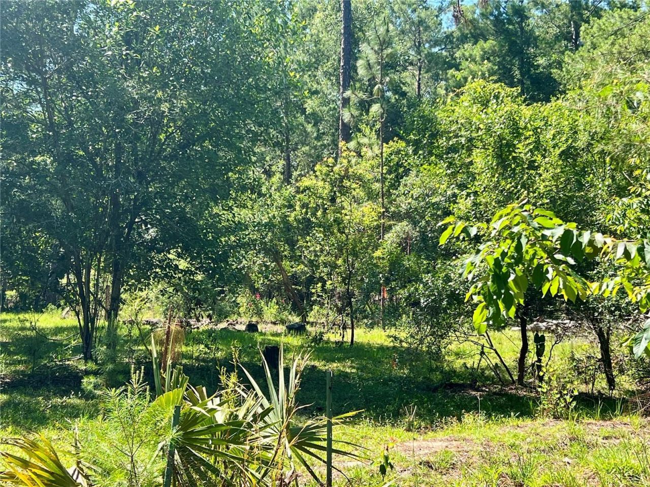 Se 152nd - (ravenswood Rd) Parcel B & C, Lots 16,, Altoona, FL 32702 Photo