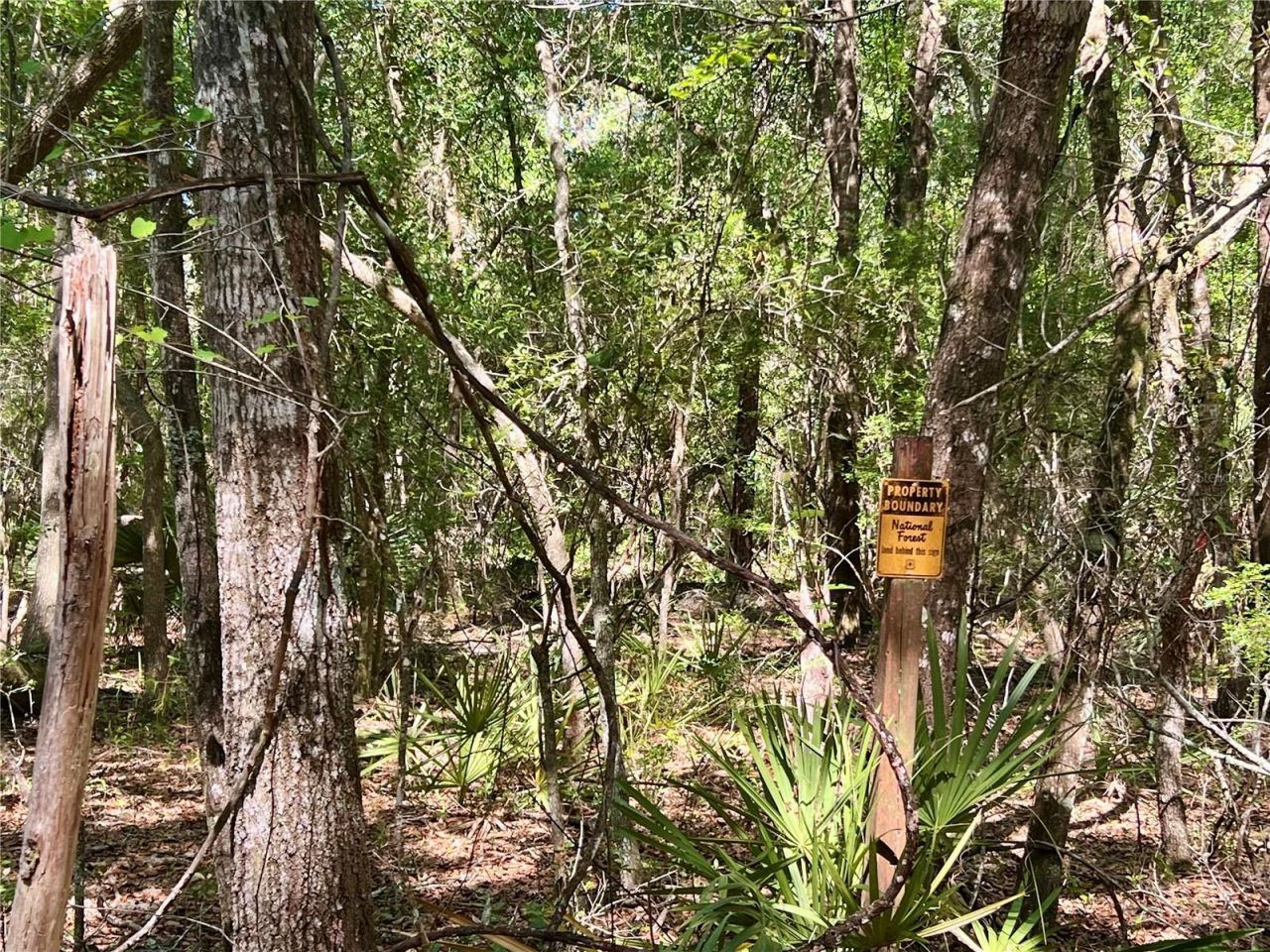 Se 152nd - (ravenswood Rd) Parcel B & C, Lots 16,, Altoona, FL 32702 Photo