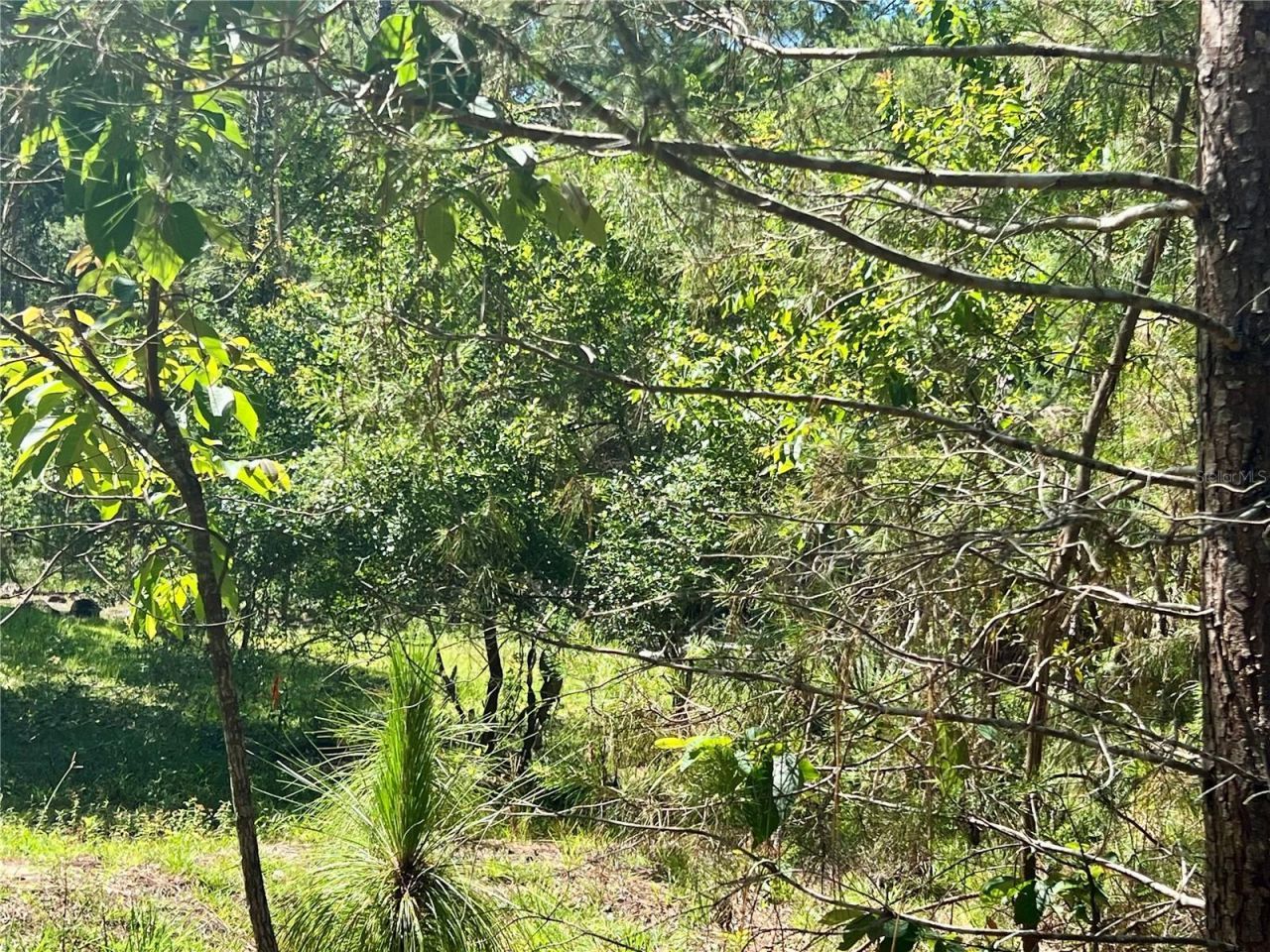 Se 152nd - (ravenswood Rd) Parcel B & C, Lots 16,, Altoona, FL 32702 Photo