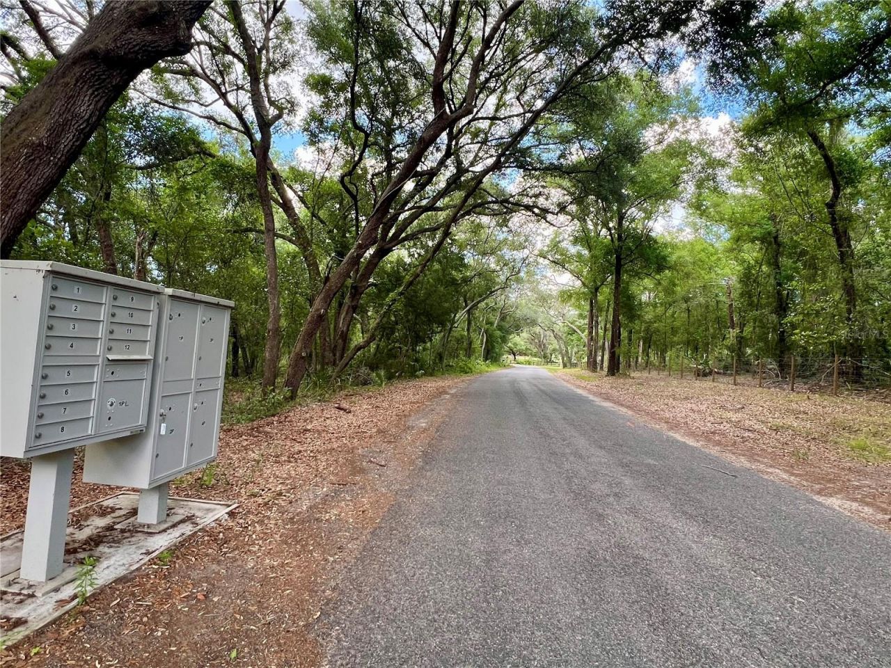 Se 152nd - (ravenswood Rd) Parcel B & C, Lots 16,, Altoona, FL 32702 Photo