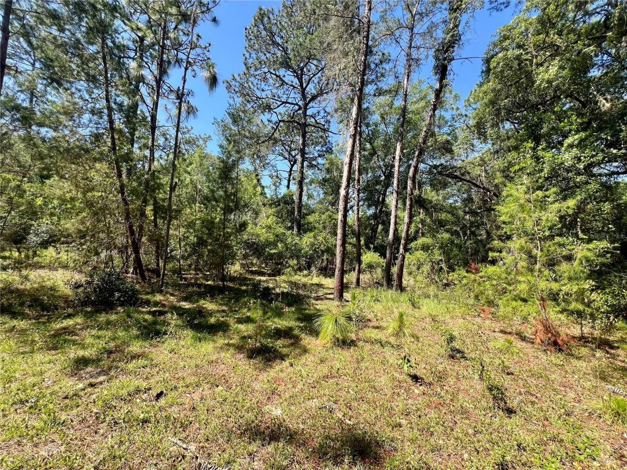 Se 152nd - (ravenswood Rd) Parcel B & C, Lots 16,, Altoona, FL 32702 Photo