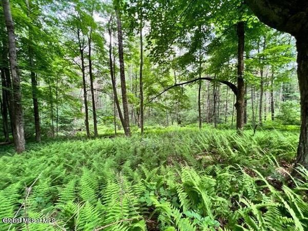 L 67.1 McGregor Road, Unit Lot 2, Gloversville, NY 12078