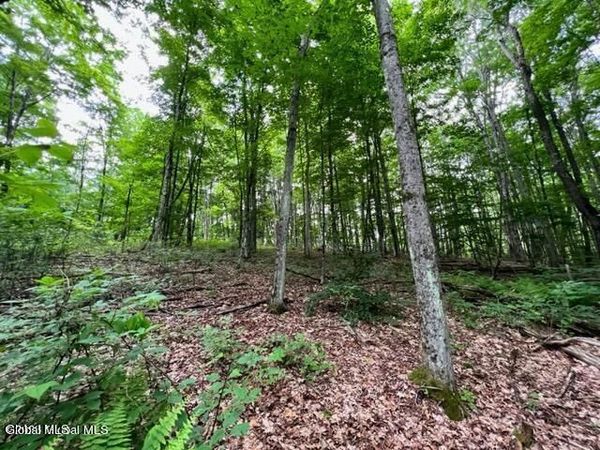 L 67.1 McGregor Road, Unit Lot 1, Gloversville, NY 12078