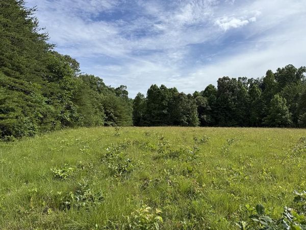 0 Clear Creek Rd. - 41 Acres, Crossville, TN 38571