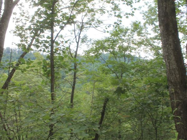 Tract 3 Straight Fork Road, Huntsville, TN 37756