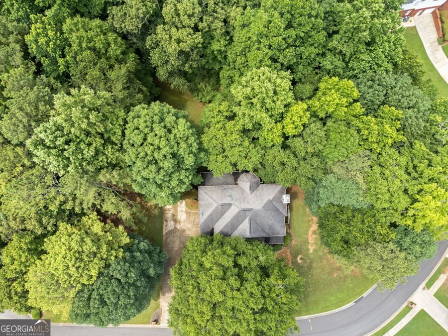 Property Image 41