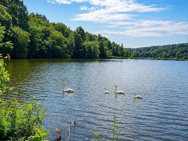 Holiday, Waterbury, CT 06701