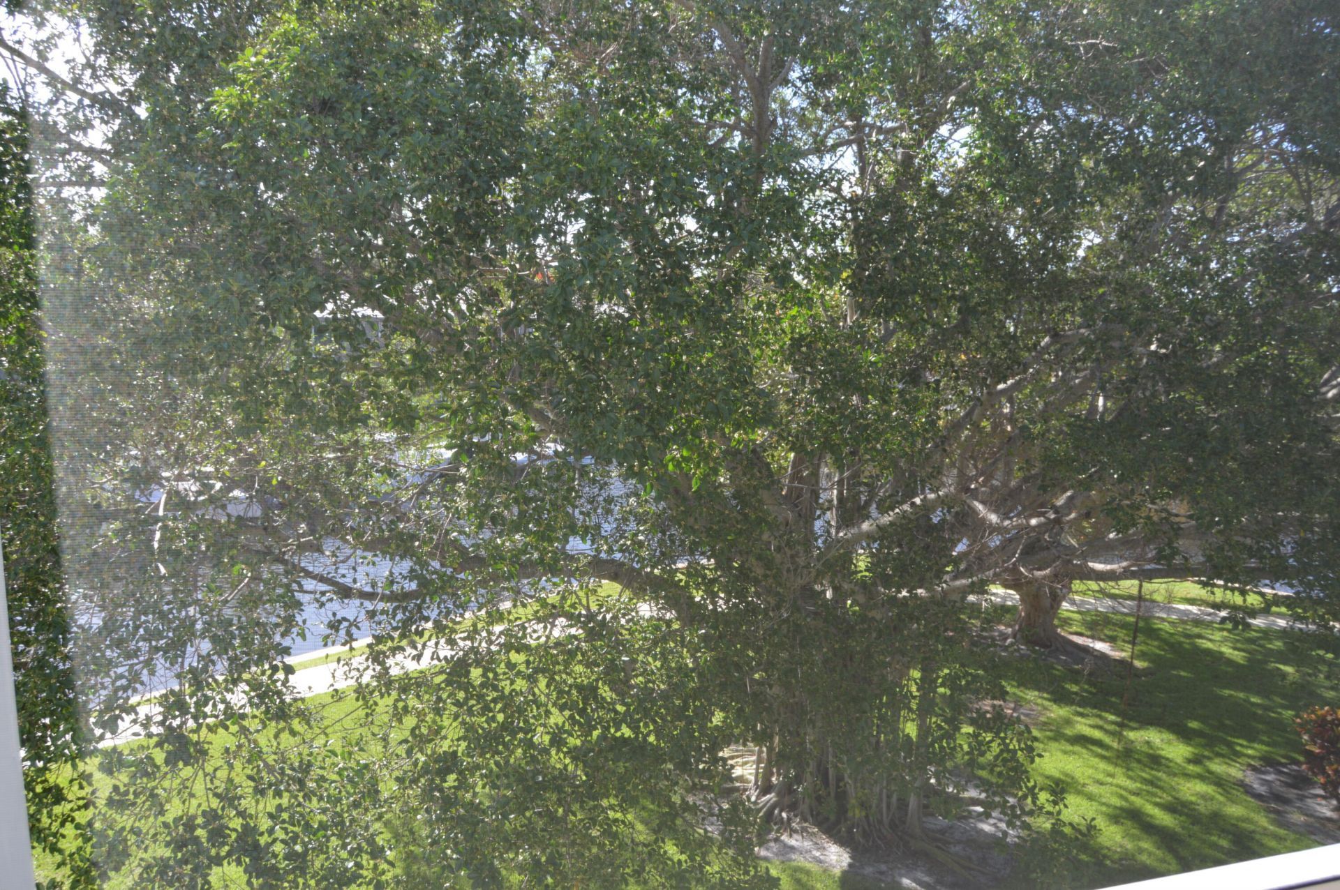 775 Jeffery Street, Unit 5-303, Boca Raton, FL 33487 Photo