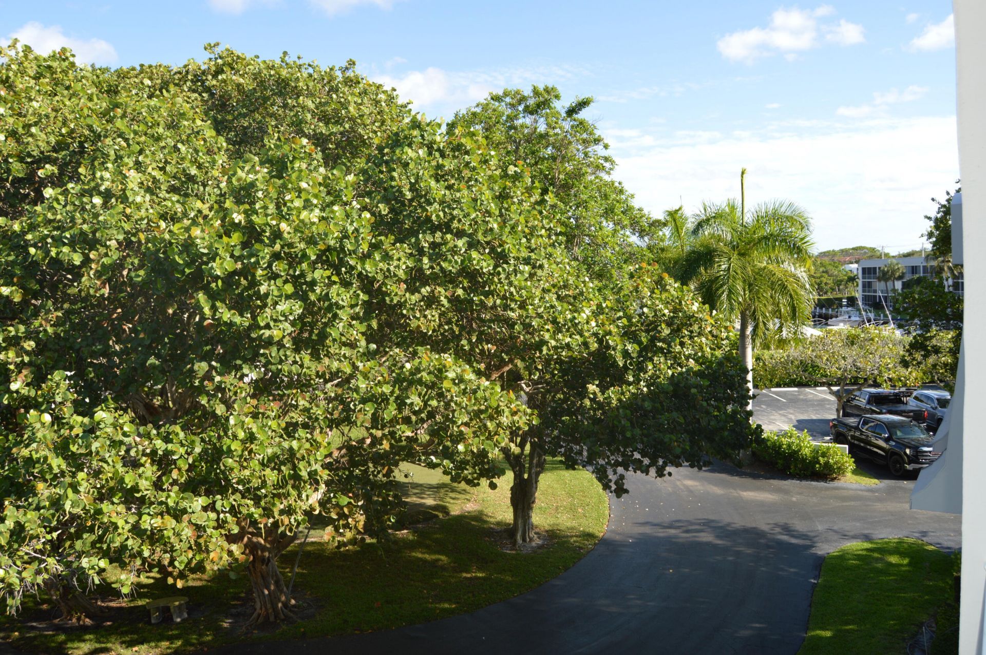 775 Jeffery Street, Unit 5-303, Boca Raton, FL 33487 Photo